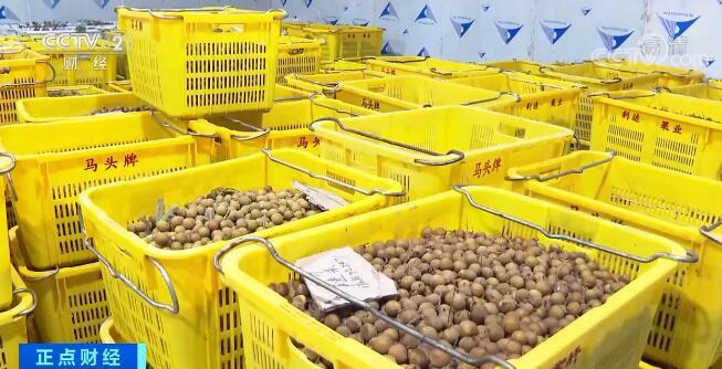 RCEP赋能中国农产品贸易新格局 广东六大国际交易中心引领出口增长