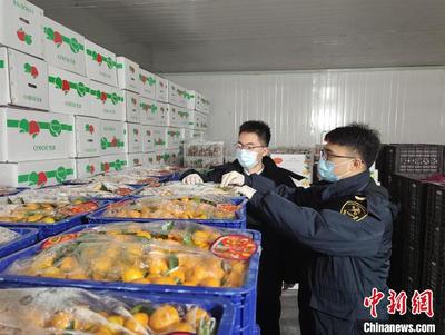 中蒙首个农产品“绿色通道”成果显著 累计出口果蔬36.65万吨，助力区域贸易与农业发展