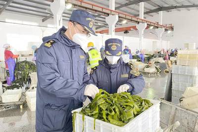 保订单促发展 大连海关多措并举，助力东北特色农产品扬帆出海