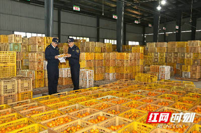 组图 | 优服务畅通道，长沙海关全力护航特色农产品柑橘出口