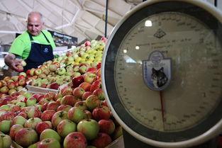 俄罗斯农产品出口 覆盖全球140国的农业贸易力量