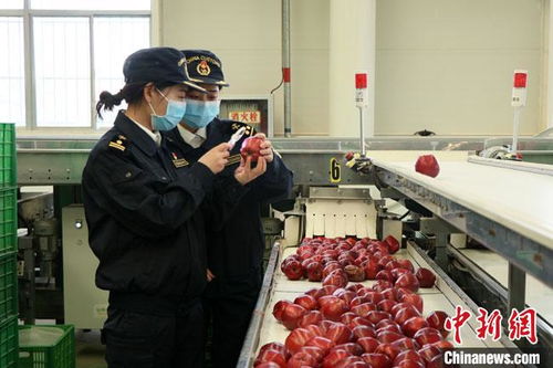 甘肃外贸发展多点开花 农产品出口“朋友圈”持续扩大