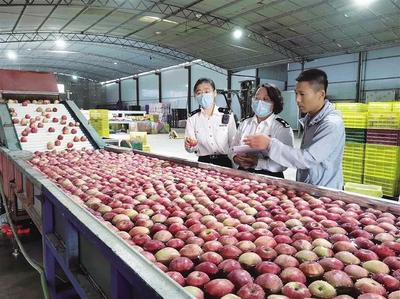 兰州海关畅通“绿色通道” 助力特色农产品扬帆出海